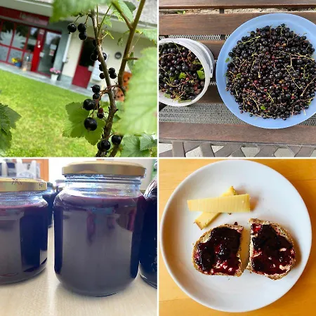 Sport-lodge Hotel Klosters