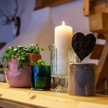 酒店 体育旅舍克罗斯特 3*