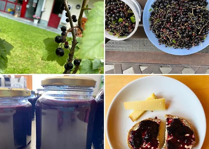 Sport-lodge Hotel Klosters-Serneus