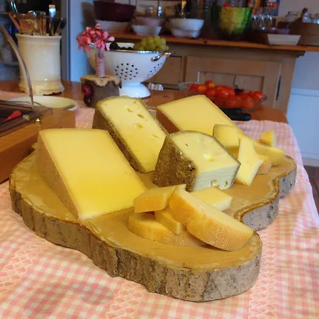 فندق الرياضي